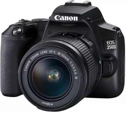 Les (més)aventures d&rsquo;un Canon Eos 250D